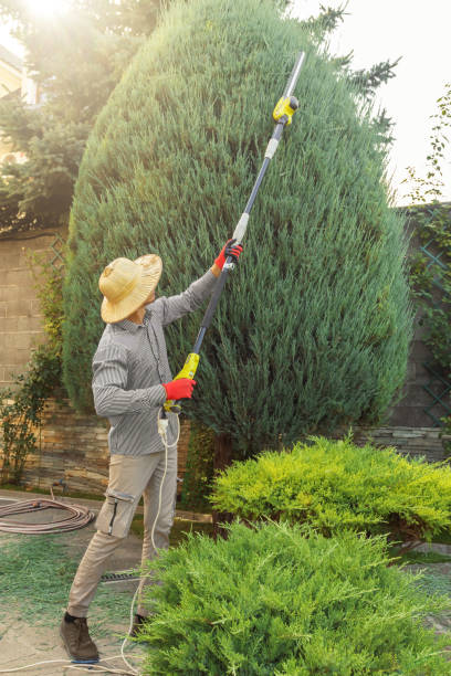 Lawn Watering Services in Urbandale, IA